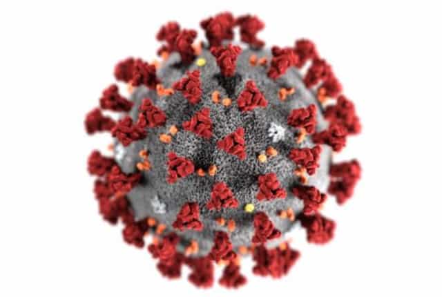 DCC Vital Novel Coronavirus (Covid-19) Statement